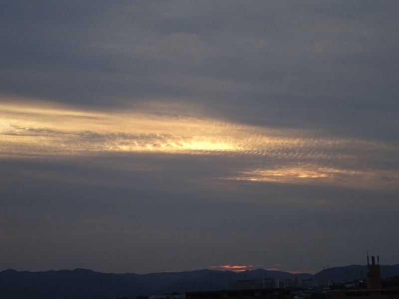 1dsc08182