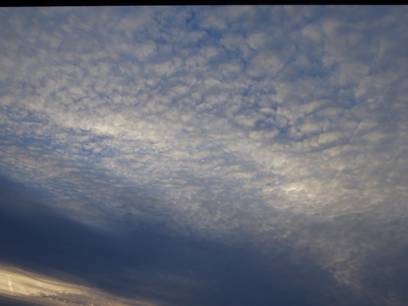 1dsc08191