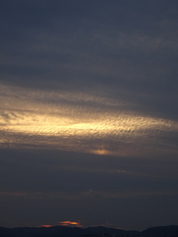 1dsc08192