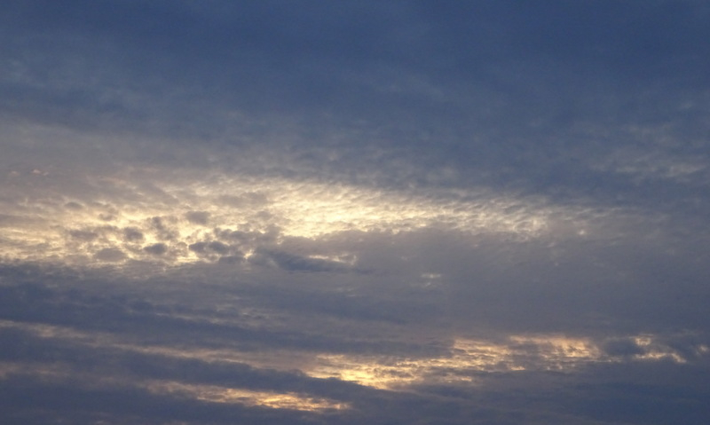 1dsc08206