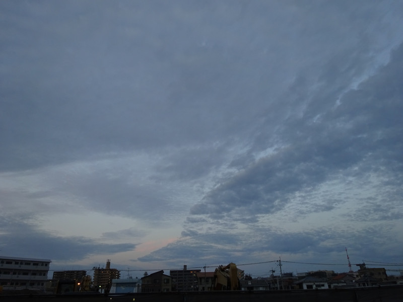Dsc08210