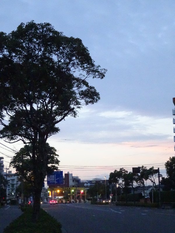 Dsc08212