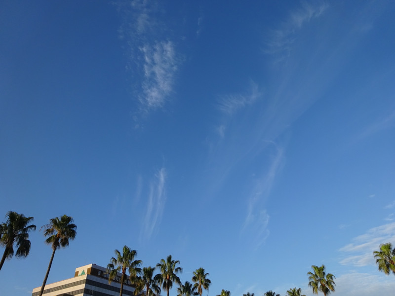 Dsc08379_2