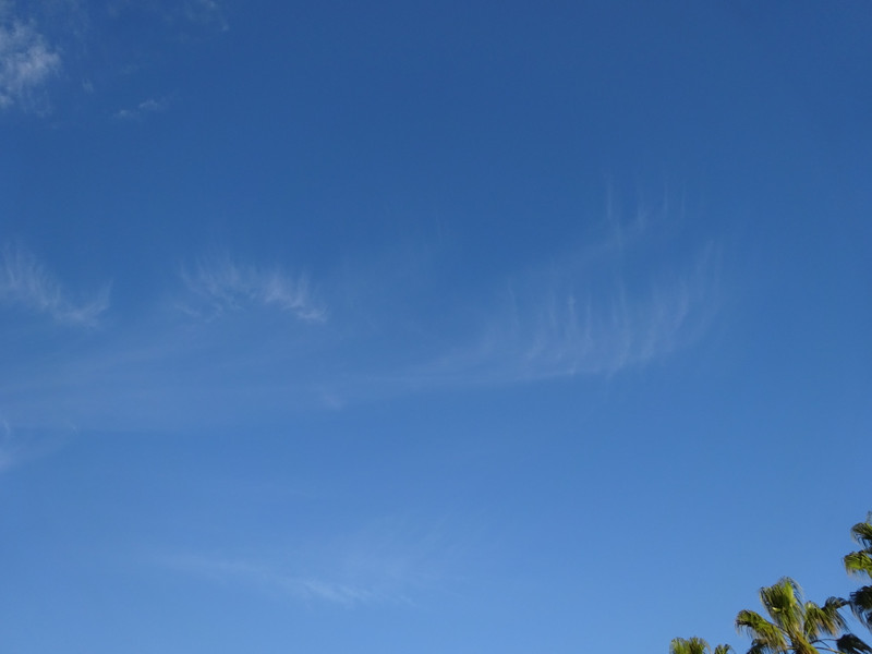 Dsc08380