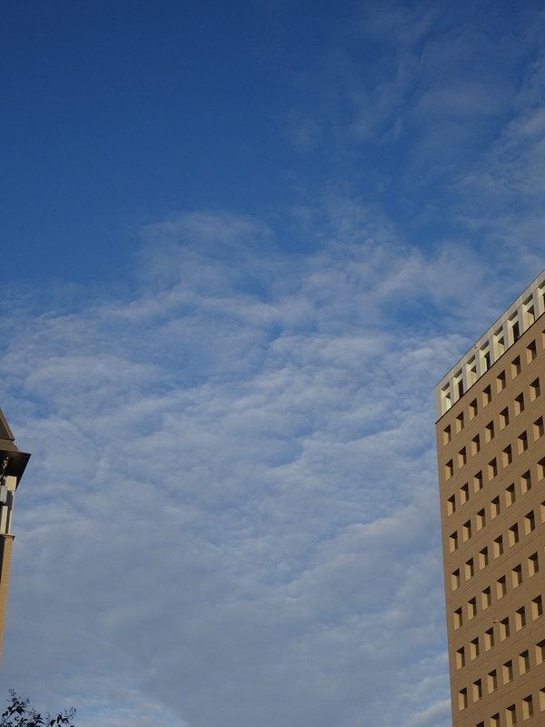 Dsc08385
