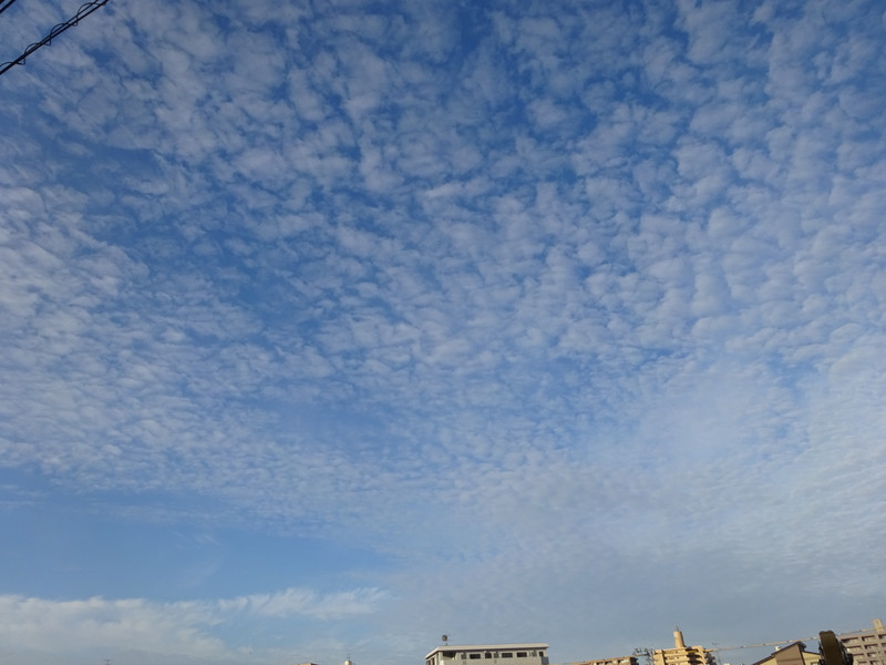 Dsc08394