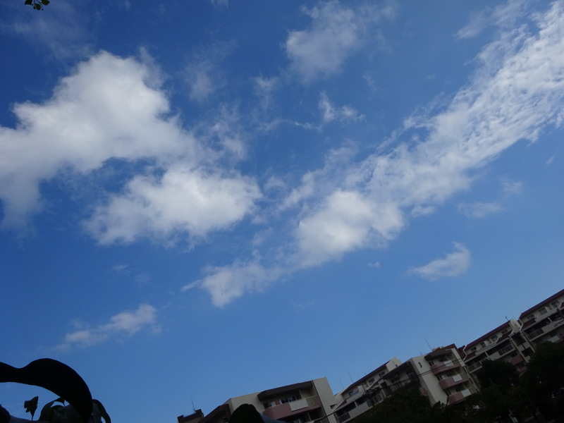 1dsc08443