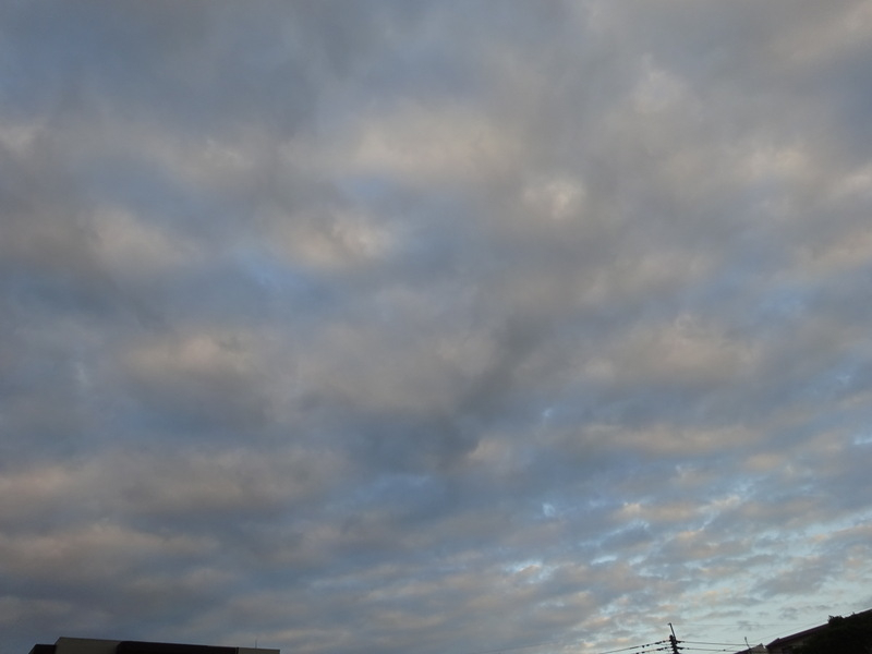 1dsc08444