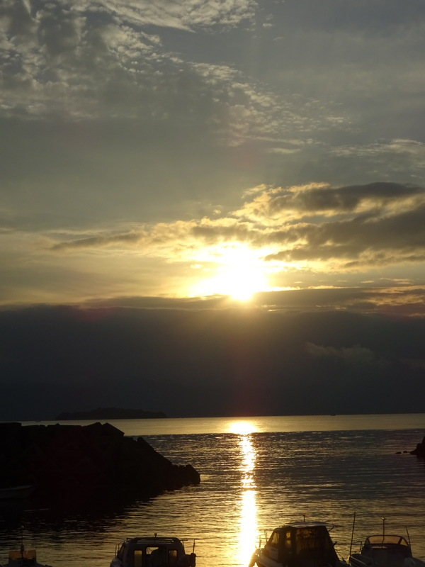 1dsc08537 1dsc08537