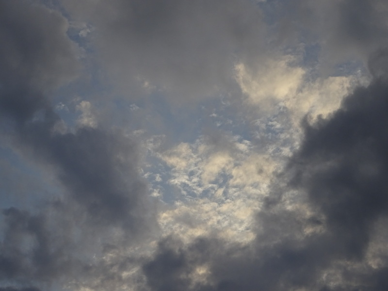 1dsc08543