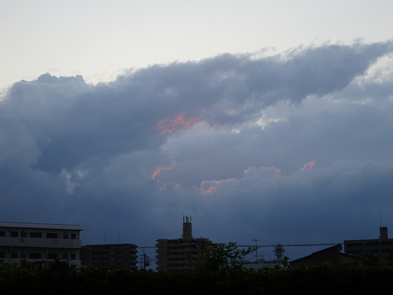 1dsc08544
