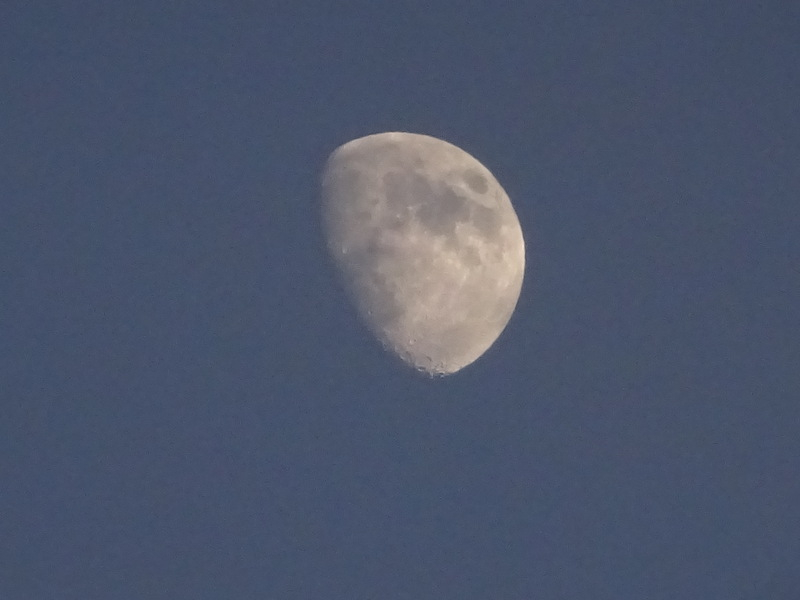 1dsc08550