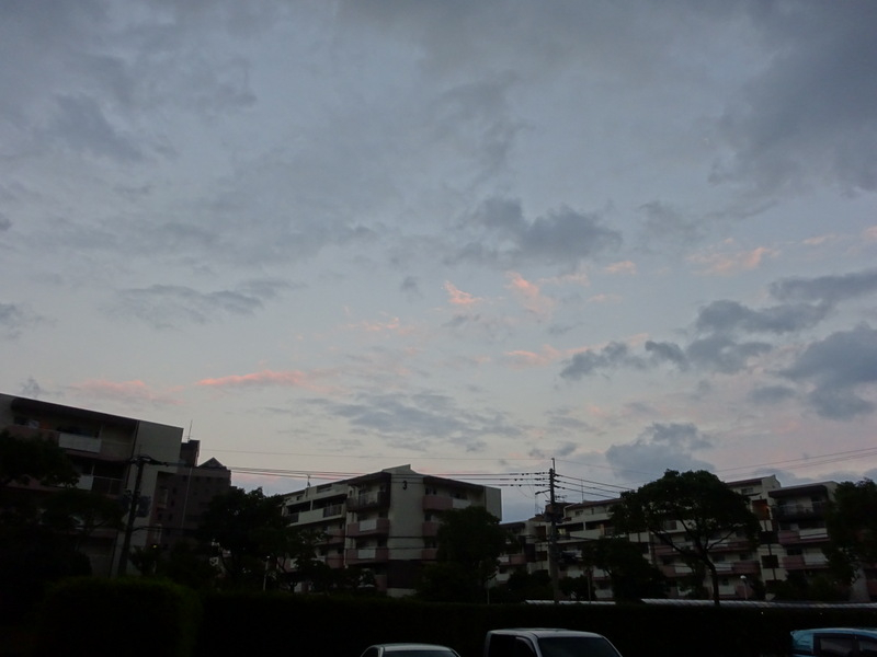 1dsc08553