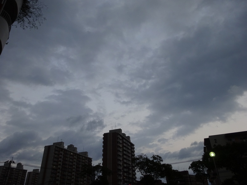 1dsc08556