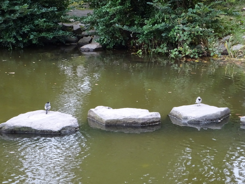 1dsc00993_2 1dsc00993_2