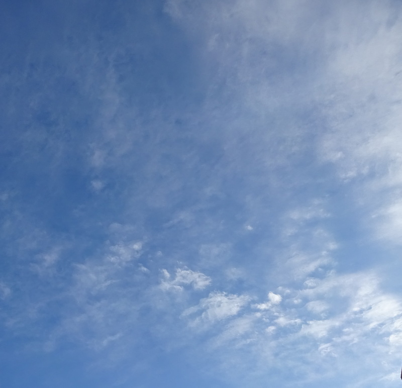 1dsc02592001 1dsc02592001