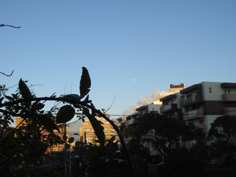 1dsc00072