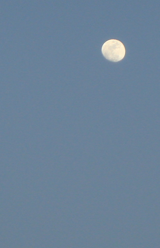 1dsc00087002