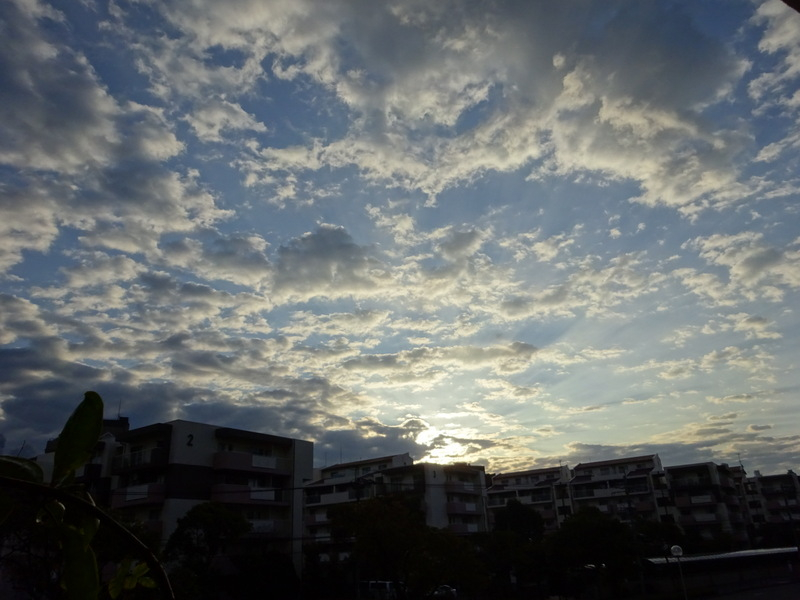 1dsc05318_2