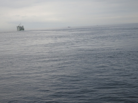 1dsc09656