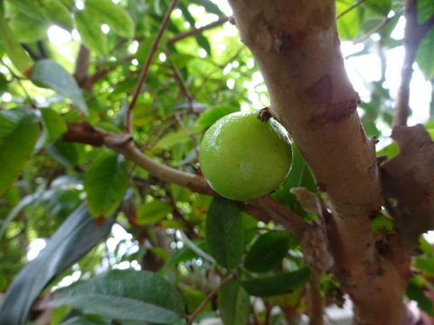 1dsc09672