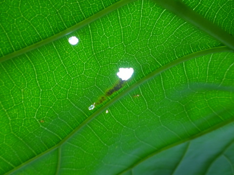 1dsc09677