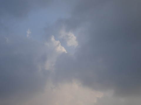 1dsc09689