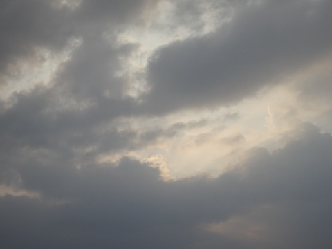 1dsc09690