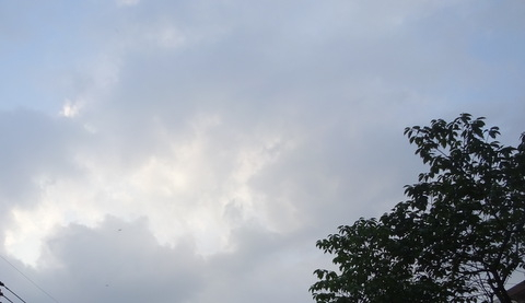 1dsc09710_3