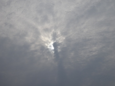 1dsc09712