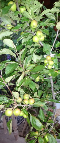 1dsc09763
