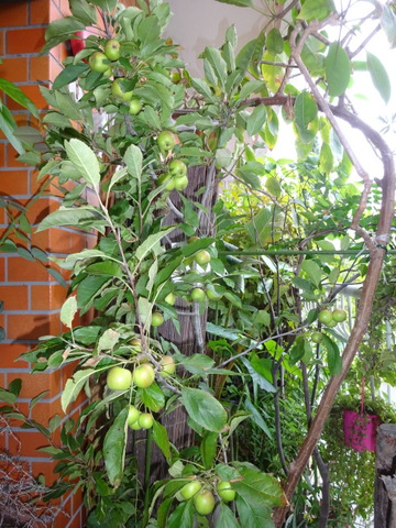 1dsc09770