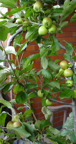 1dsc09782