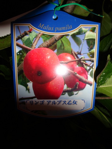 1dsc09759_2