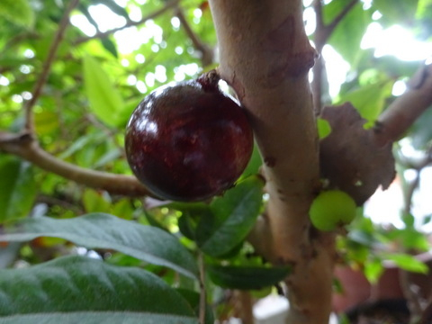 1dsc09825
