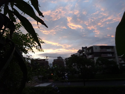 1dsc09853