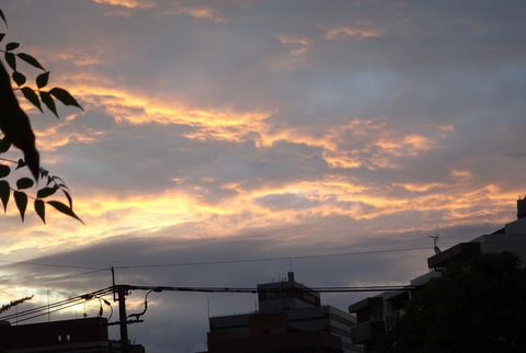 1dsc09854