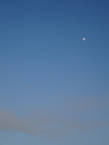 1dsc09939_2