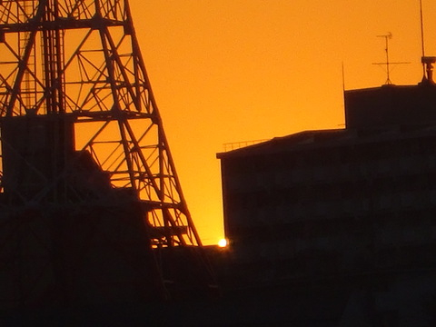1dsc09953