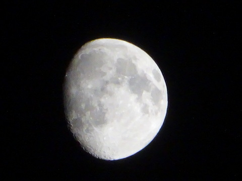 1dsc09957