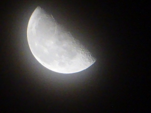 1dsc02377