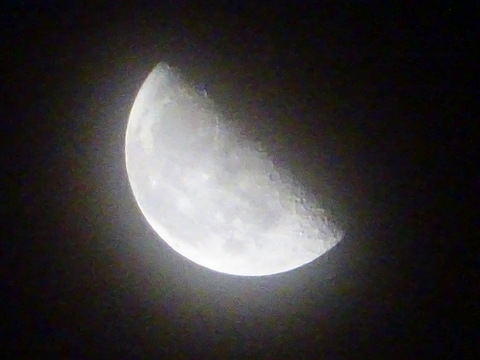 1dsc02378