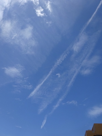 1dsc02388