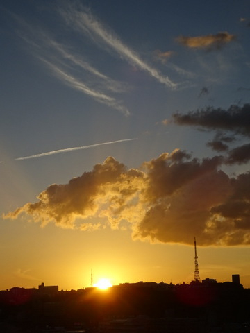 1dsc02447