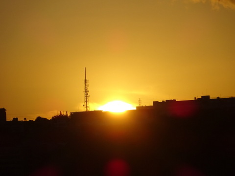 1dsc02450_2