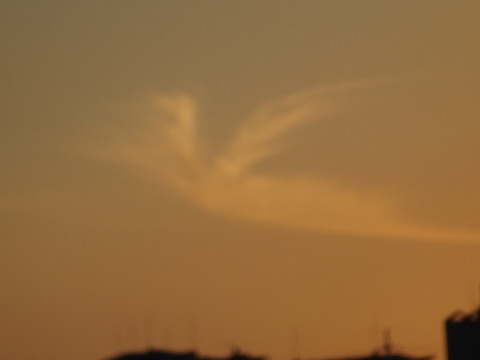 1dsc02466