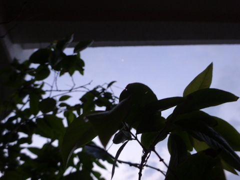 01dsc04250