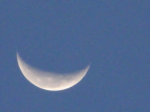 02dsc04251