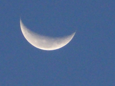 03dsc04252