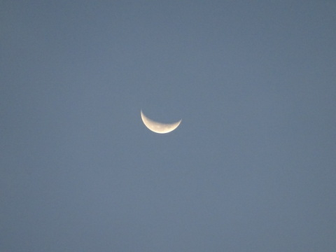 04dsc04253